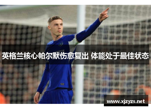 英格兰核心帕尔默伤愈复出 体能处于最佳状态